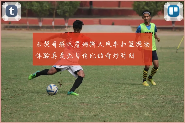 东契奇感叹詹姆斯大风车扣篮现场体验真是无与伦比的奇妙时刻