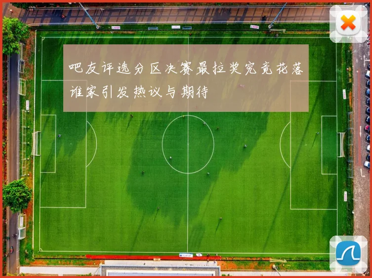 吧友评选分区决赛最拉奖究竟花落谁家引发热议与期待